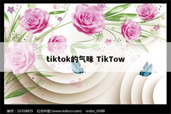 tiktok的气味 TikTow
