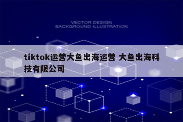 tiktok运营大鱼出海运营 大鱼出海科技有限公司