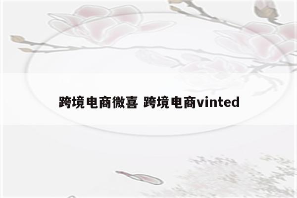 跨境电商微喜 跨境电商vinted