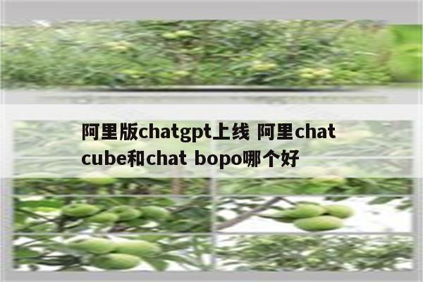 阿里版chatgpt上线 阿里chat cube和chat bopo哪个好