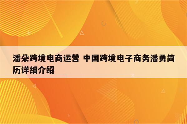 潘朵跨境电商运营 中国跨境电子商务潘勇简历详细介绍