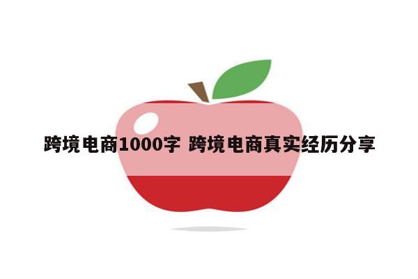 跨境电商1000字 跨境电商真实经历分享