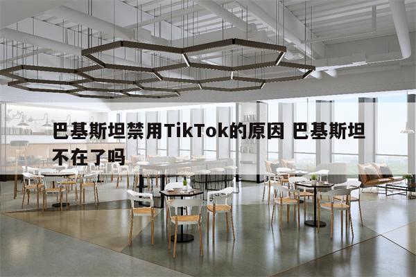 巴基斯坦禁用TikTok的原因 巴基斯坦不在了吗