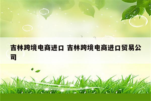 吉林跨境电商进口 吉林跨境电商进口贸易公司