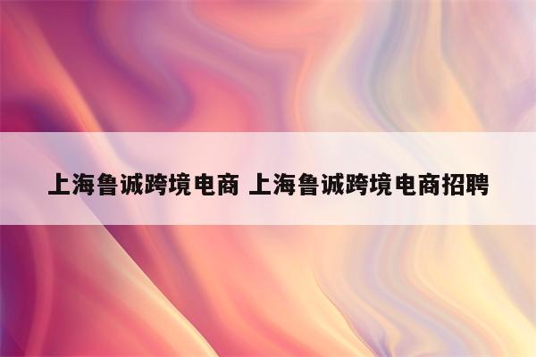 上海鲁诚跨境电商 上海鲁诚跨境电商招聘