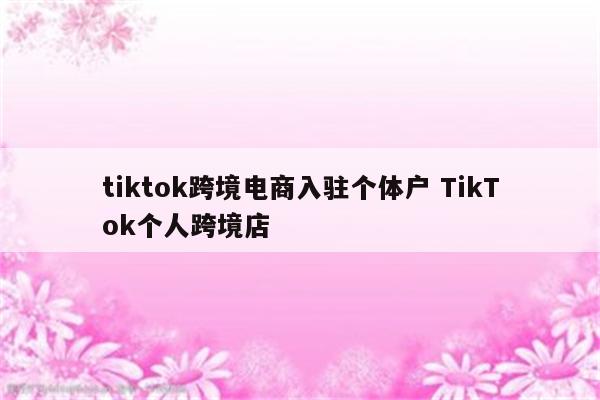 tiktok跨境电商入驻个体户 TikTok个人跨境店