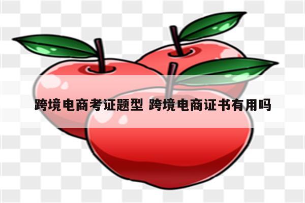 跨境电商考证题型 跨境电商证书有用吗