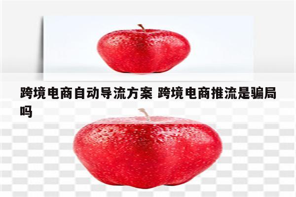 跨境电商自动导流方案 跨境电商推流是骗局吗