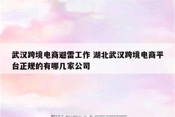 武汉跨境电商避雷工作 湖北武汉跨境电商平台正规的有哪几家公司