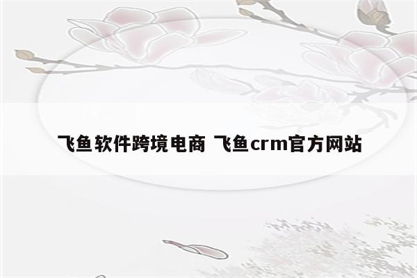 飞鱼软件跨境电商 飞鱼crm官方网站