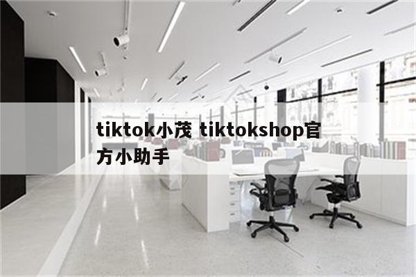 tiktok小茂 tiktokshop官方小助手