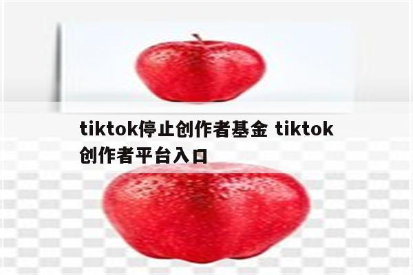 tiktok停止创作者基金 tiktok创作者平台入口