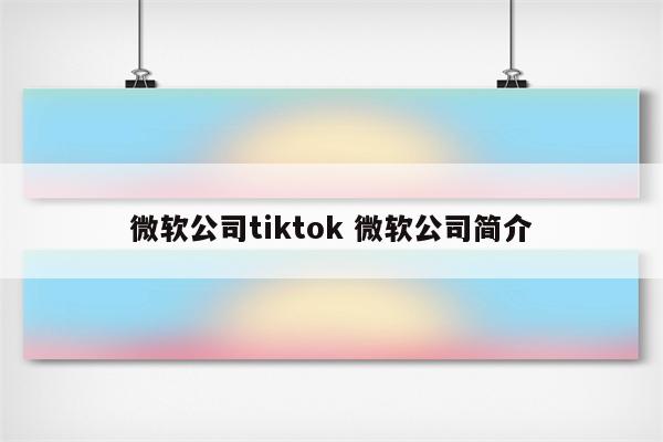 微软公司tiktok 微软公司简介