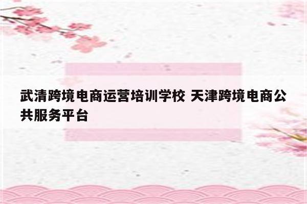武清跨境电商运营培训学校 天津跨境电商公共服务平台