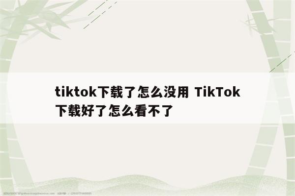 tiktok下载了怎么没用 TikTok下载好了怎么看不了