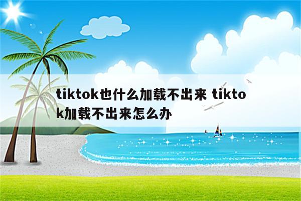 tiktok也什么加载不出来 tiktok加载不出来怎么办