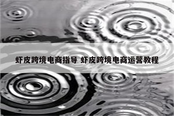 虾皮跨境电商指导 虾皮跨境电商运营教程