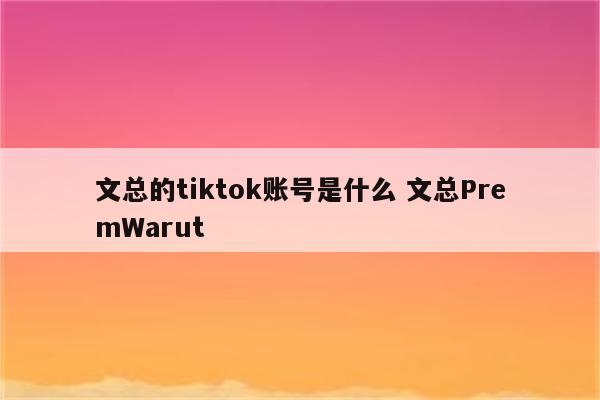 文总的tiktok账号是什么 文总PremWarut