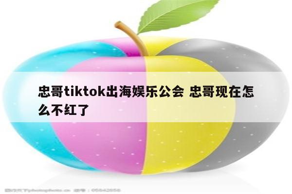 忠哥tiktok出海娱乐公会 忠哥现在怎么不红了