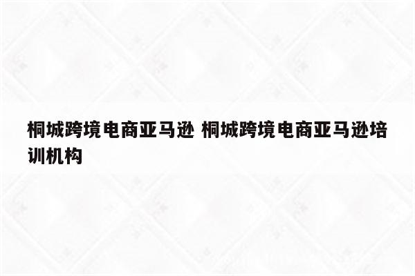 桐城跨境电商亚马逊 桐城跨境电商亚马逊培训机构