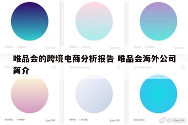 唯品会的跨境电商分析报告 唯品会海外公司简介