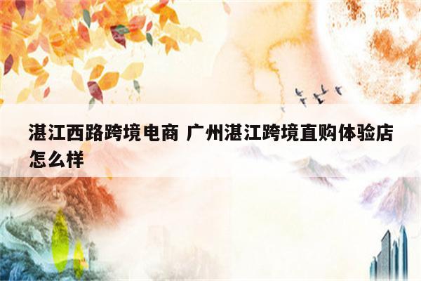 湛江西路跨境电商 广州湛江跨境直购体验店怎么样