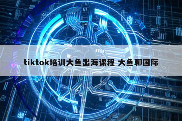 tiktok培训大鱼出海课程 大鱼聊国际