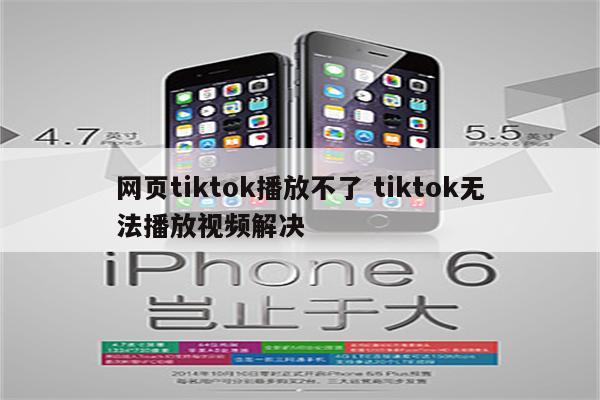 网页tiktok播放不了 tiktok无法播放视频解决