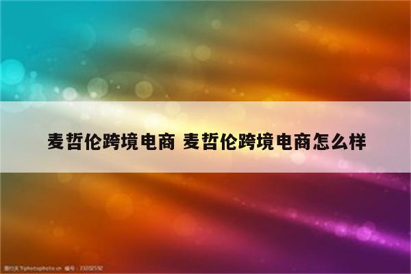 麦哲伦跨境电商 麦哲伦跨境电商怎么样