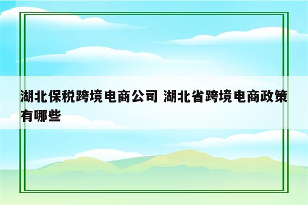 湖北保税跨境电商公司 湖北省跨境电商政策有哪些