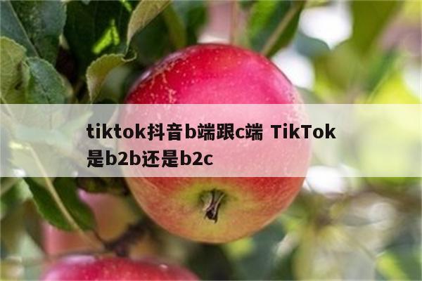 tiktok抖音b端跟c端 TikTok是b2b还是b2c