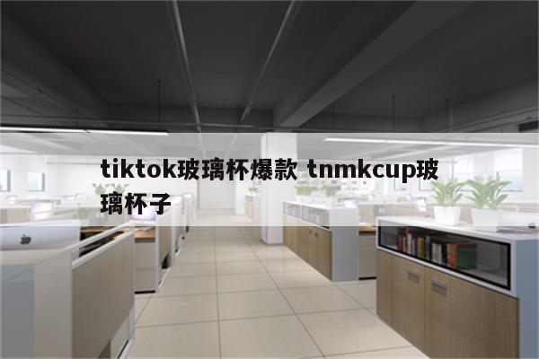 tiktok玻璃杯爆款 tnmkcup玻璃杯子