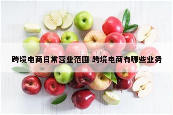 跨境电商日常营业范围 跨境电商有哪些业务