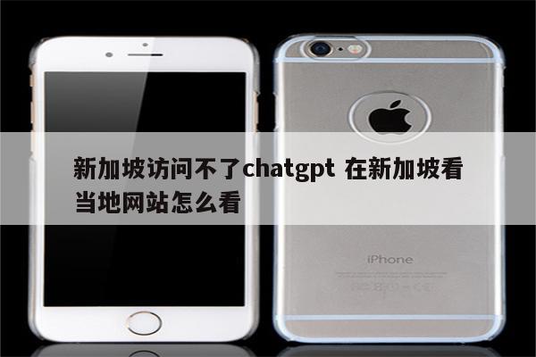 新加坡访问不了chatgpt 在新加坡看当地网站怎么看