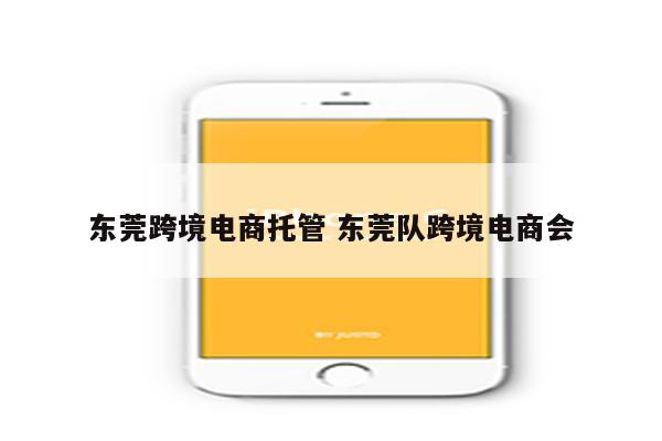 东莞跨境电商托管 东莞队跨境电商会