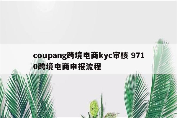 coupang跨境电商kyc审核 9710跨境电商申报流程
