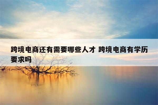 跨境电商还有需要哪些人才 跨境电商有学历要求吗
