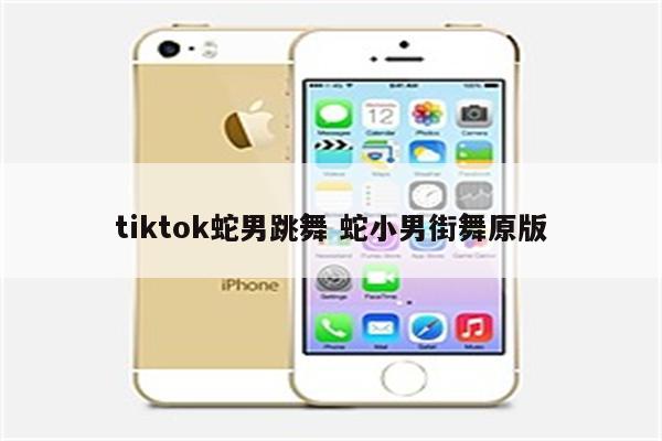 tiktok蛇男跳舞 蛇小男街舞原版
