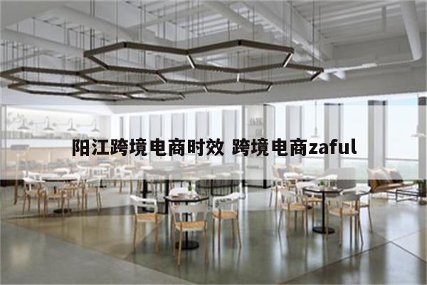 阳江跨境电商时效 跨境电商zaful