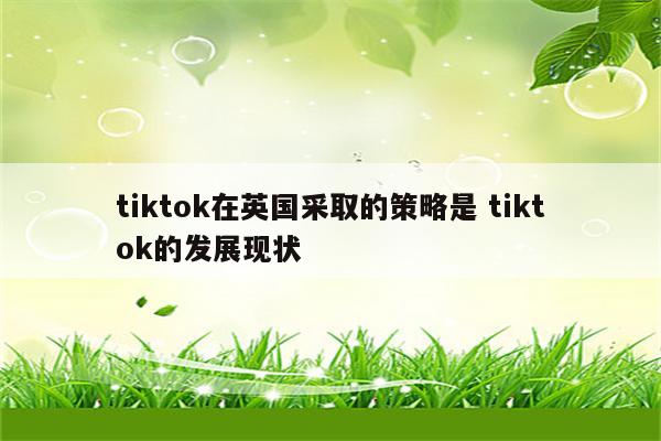 tiktok在英国采取的策略是 tiktok的发展现状