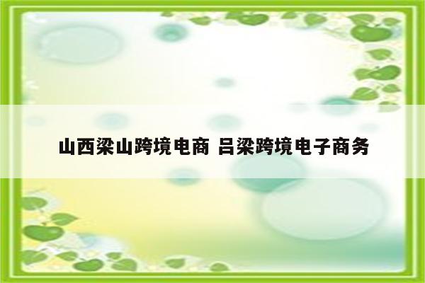 山西梁山跨境电商 吕梁跨境电子商务