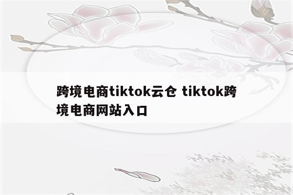 跨境电商tiktok云仓 tiktok跨境电商网站入口