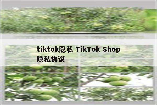 tiktok隐私 TikTok Shop隐私协议