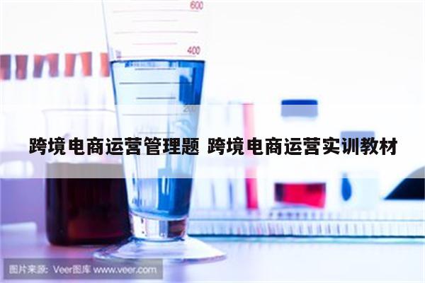 跨境电商运营管理题 跨境电商运营实训教材