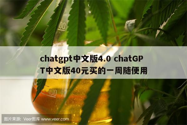 chatgpt中文版4.0 chatGPT中文版40元买的一周随便用