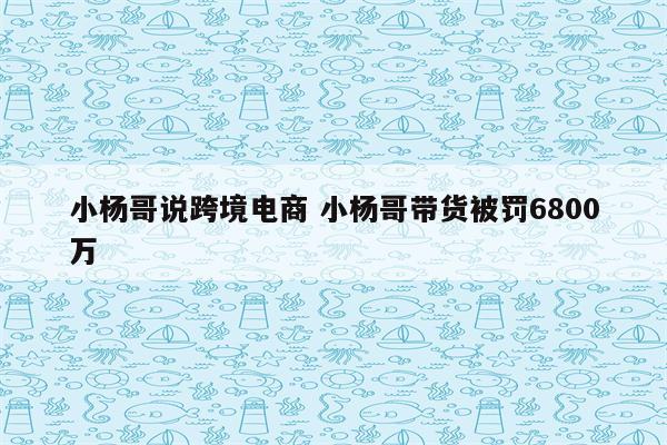 小杨哥说跨境电商 小杨哥带货被罚6800万