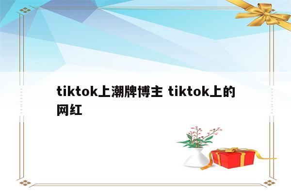 tiktok上潮牌博主 tiktok上的网红