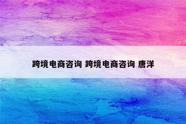 跨境电商咨询 跨境电商咨询 唐洋