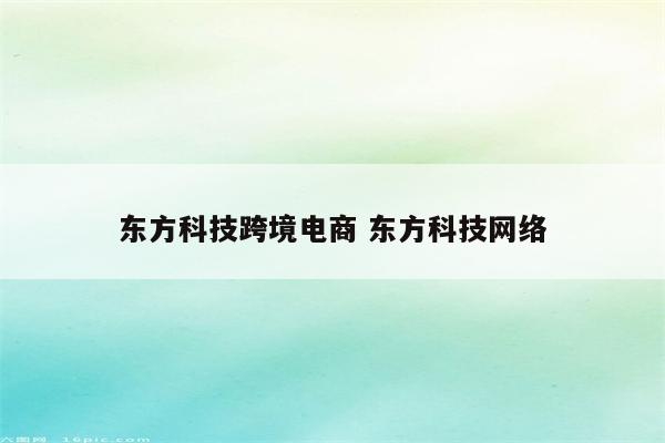 东方科技跨境电商 东方科技网络