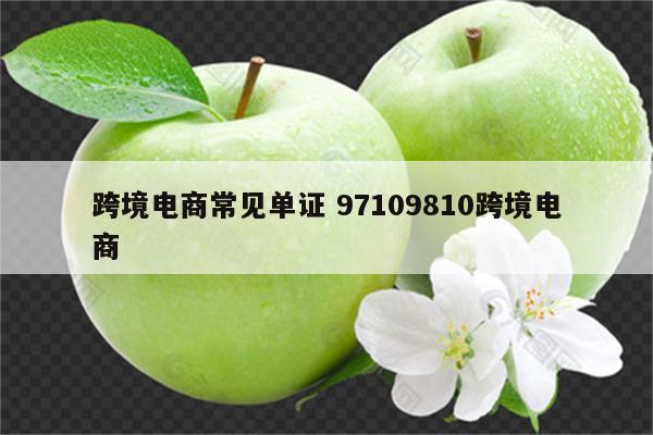 跨境电商常见单证 97109810跨境电商